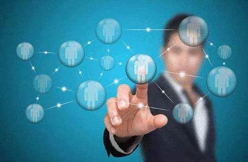 理科就業(yè)率排名前十的熱門專業(yè) 聚焦網(wǎng)絡(luò)科技與計(jì)算機(jī)領(lǐng)域